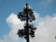 Communautaire van de de Torenpijnboom van de Camouflagecel de Boommededeling
