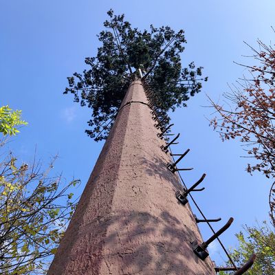 30m/S de Celtoren van de kokospalmcamouflage voor Openlucht
