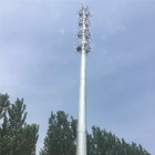 Van de 15 Meter Monopole het Staalstructuur Telecommunicatietoren rond Verminderde Mast