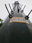 56 meter monopole gsm Zelftoren van de Steuncel