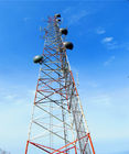 30 Metergsm Toren van de de Celtelefoon van de Antenne de Valse Palm