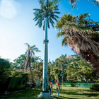 Gegalvaniseerde de Telecommunicatie Kunstmatige Bomen van de Camouflagetoren